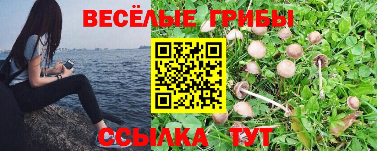 Галлюциногенные грибы Magic Shrooms Рассказово