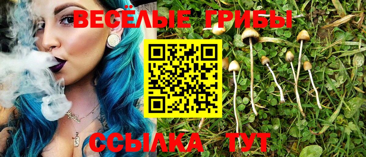 где можно купить   Вход с VPN  Рассказово  Галлюциногенные грибы Psilocybe 